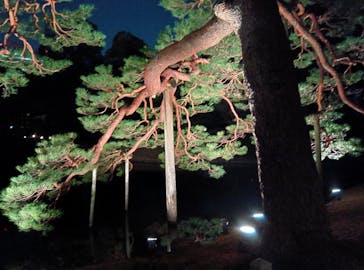 六義園に投稿された画像（2025/3/23）