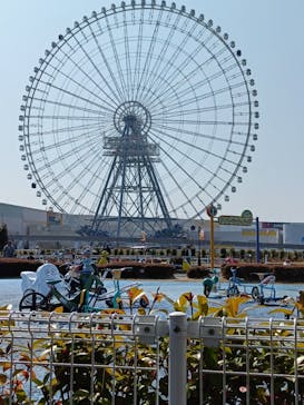 万博記念公園に投稿された画像（2025/3/23）