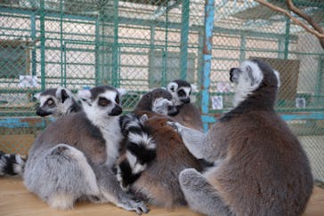 東北サファリパークに投稿された画像（2025/3/23）