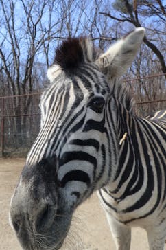 東北サファリパークに投稿された画像（2025/3/23）