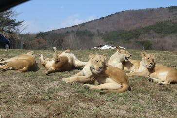 東北サファリパークに投稿された画像（2025/3/23）