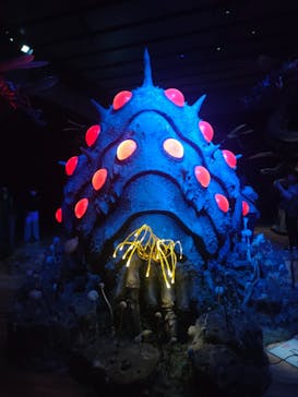 金曜ロードショーとジブリ展　三重展に投稿された画像（2025/3/23）