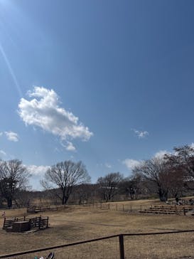 那須どうぶつ王国に投稿された画像（2025/3/23）