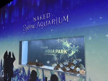 マクセル アクアパーク品川に投稿された画像（2025/3/23）