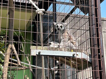 名古屋市東山動植物園に投稿された画像（2025/3/23）