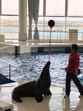 アクアワールド茨城県大洗水族館に投稿された画像（2025/3/23）