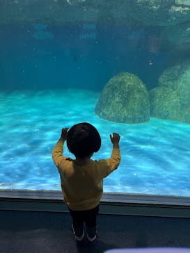 横浜・八景島シーパラダイスに投稿された画像（2025/3/23）