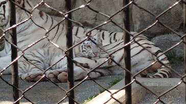 東武動物公園に投稿された画像（2025/3/23）
