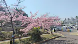 ひらかたパークに投稿された画像（2025/3/23）