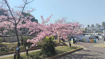 ひらかたパークに投稿された画像（2025/3/23）