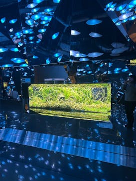AQUARIUM × ART　atoaに投稿された画像（2025/3/23）