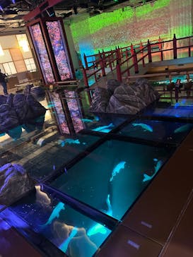 AQUARIUM × ART　atoaに投稿された画像（2025/3/23）