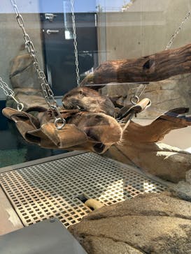 AQUARIUM × ART　atoaに投稿された画像（2025/3/23）