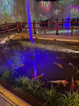 AQUARIUM × ART　atoaに投稿された画像（2025/3/23）