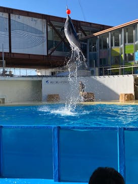 伊豆・三津シーパラダイスに投稿された画像（2025/3/23）