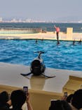 マリンワールド海の中道に投稿された画像（2025/3/23）