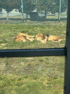 岩手サファリパークに投稿された画像（2025/3/23）