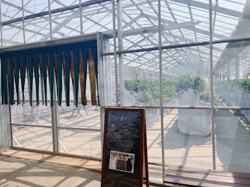 すごう農園直売所ピアッツァに投稿された画像（2025/3/23）