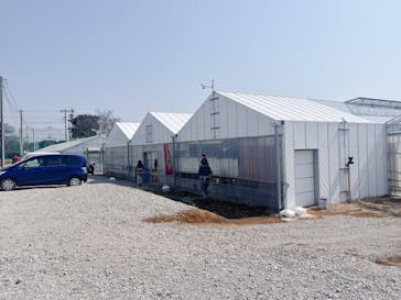 すごう農園直売所ピアッツァに投稿された画像（2025/3/23）