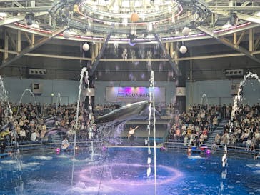 マクセル アクアパーク品川に投稿された画像（2025/3/23）