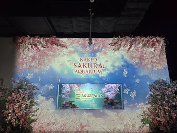 マクセル アクアパーク品川に投稿された画像（2025/3/23）