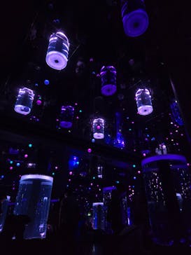 マクセル アクアパーク品川に投稿された画像（2025/3/23）