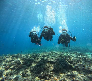 沖縄マリンサービス碧に投稿された画像（2025/3/23）