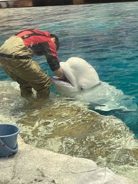 名古屋港水族館に投稿された画像（2025/3/23）
