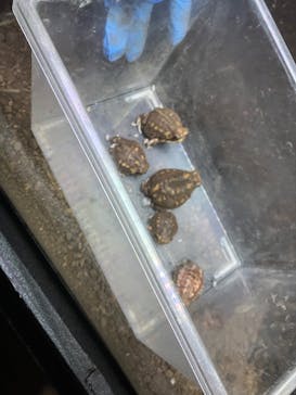 体感型動物園iZooに投稿された画像（2025/3/23）