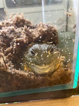 体感型動物園iZooに投稿された画像（2025/3/23）