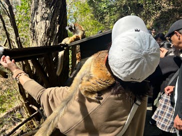 長崎バイオパークに投稿された画像（2025/3/23）