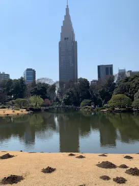 新宿御苑に投稿された画像（2025/3/23）