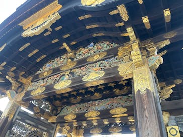 元離宮二条城に投稿された画像（2025/3/23）