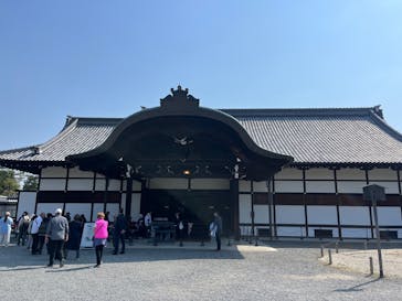 元離宮二条城に投稿された画像（2025/3/23）
