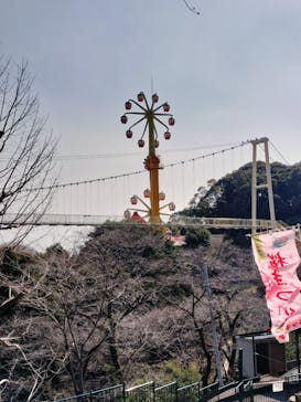 別府ケーブルラクテンチに投稿された画像（2025/3/23）