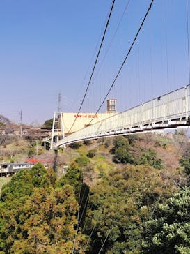 別府ケーブルラクテンチに投稿された画像（2025/3/23）