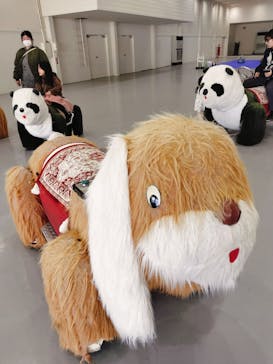 別府ケーブルラクテンチに投稿された画像（2025/3/23）