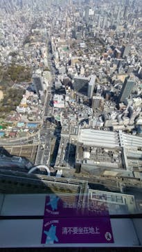 ハルカス300(展望台)に投稿された画像（2025/3/23）