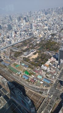 ハルカス300(展望台)に投稿された画像（2025/3/23）