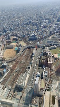 ハルカス300(展望台)に投稿された画像（2025/3/23）