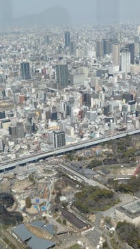 ハルカス300(展望台)に投稿された画像（2025/3/23）