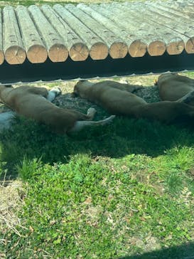 東京動物園協会_多摩動物公園に投稿された画像（2025/3/23）