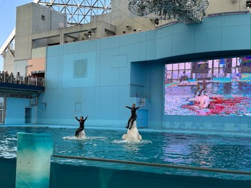 横浜・八景島シーパラダイスに投稿された画像（2025/3/23）