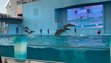 横浜・八景島シーパラダイスに投稿された画像（2025/3/23）