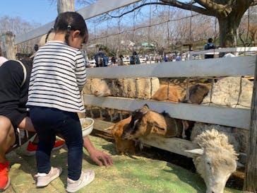 成田ゆめ牧場に投稿された画像（2025/3/23）