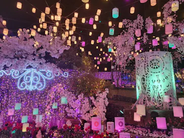 ひらかたパークに投稿された画像（2025/3/23）