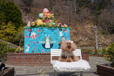 ACAO FORESTに投稿された画像（2025/3/23）