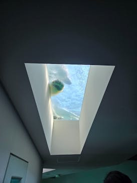 恩賜上野動物園に投稿された画像（2025/3/23）