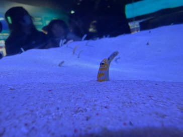 マリンワールド海の中道に投稿された画像（2025/3/23）