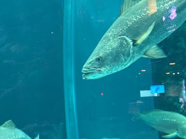 マリンワールド海の中道に投稿された画像（2025/3/23）